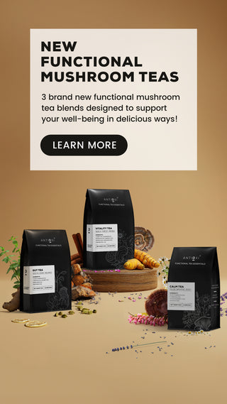 Antioxi Functional Mushroom Tea - Europe 