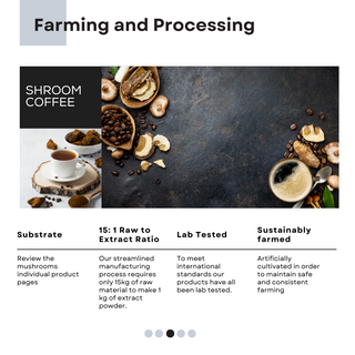 Shroom Coffee | Focus